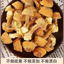150G姬松茸干货 云南特产食用野生菌菇蘑菇松茸