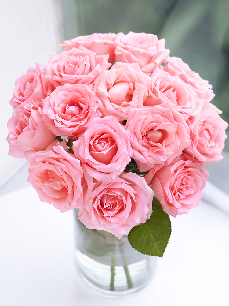 玫瑰花鲜花云南直发昆明基地直批包邮家用插花花束花卉鲜花批花批