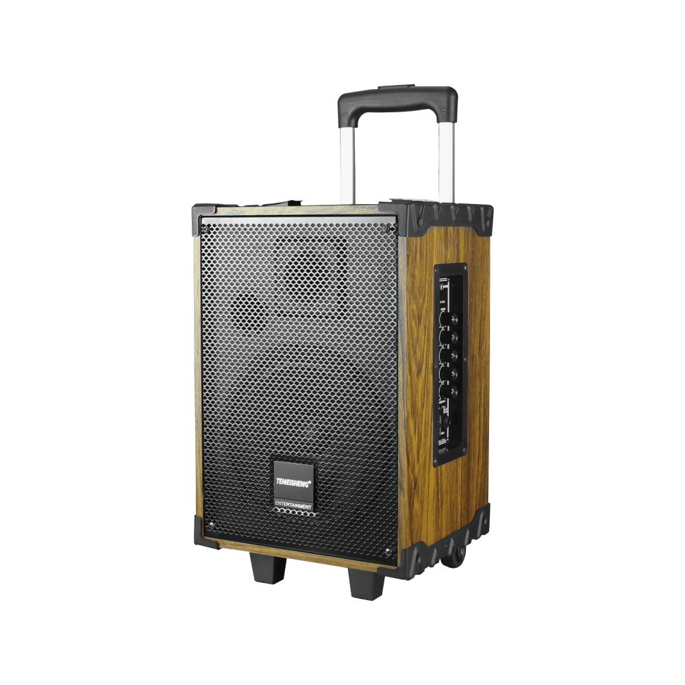 特美声10寸拉杆音响a10 户外广场舞音箱 移动 插卡音箱 跨境批发