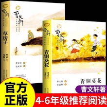 青铜葵花草房子曹文轩获奖作品中小学课外阅读书籍正版批发
