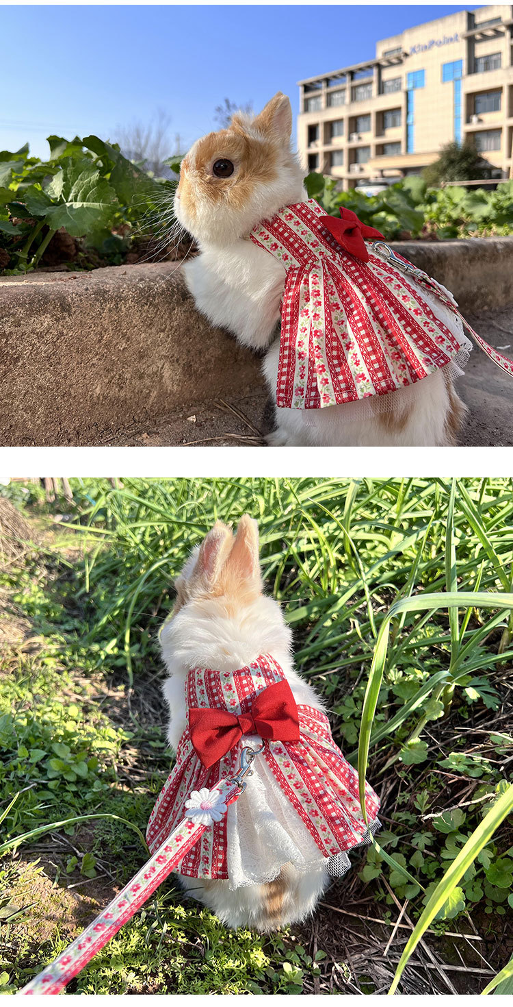日系碎花兔子衣服可爱裙子宠物兔侏儒兔猫猫兔垂耳兔牵引绳