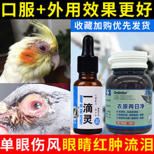 鸽药一滴灵衣原两日净鸽子药大全常见病鹦鹉热单眼伤风眼睛流泪肿