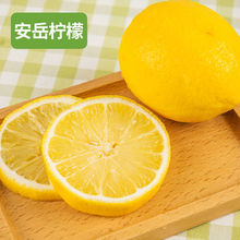四川安岳柠檬大果新鲜水果应季黄柠檬产地直发批发包邮多规格可选