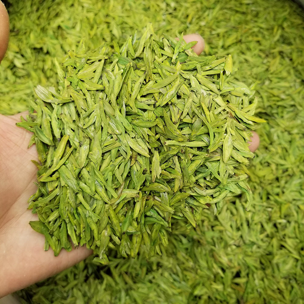 乌牛早龙井茶叶2021年新茶绿版明前浙江龙井高山绿茶货源散装批发