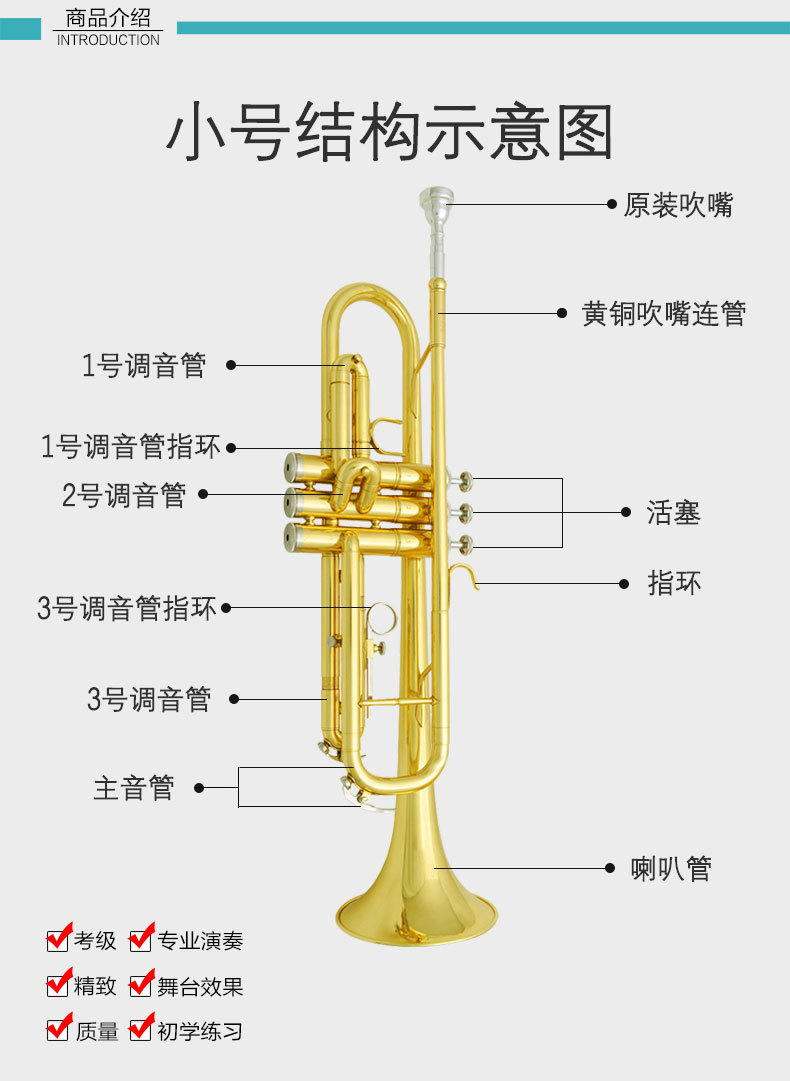 津宝小号乐器降b调初学者通用黄铜小号军乐队学校管乐队jbtr-300