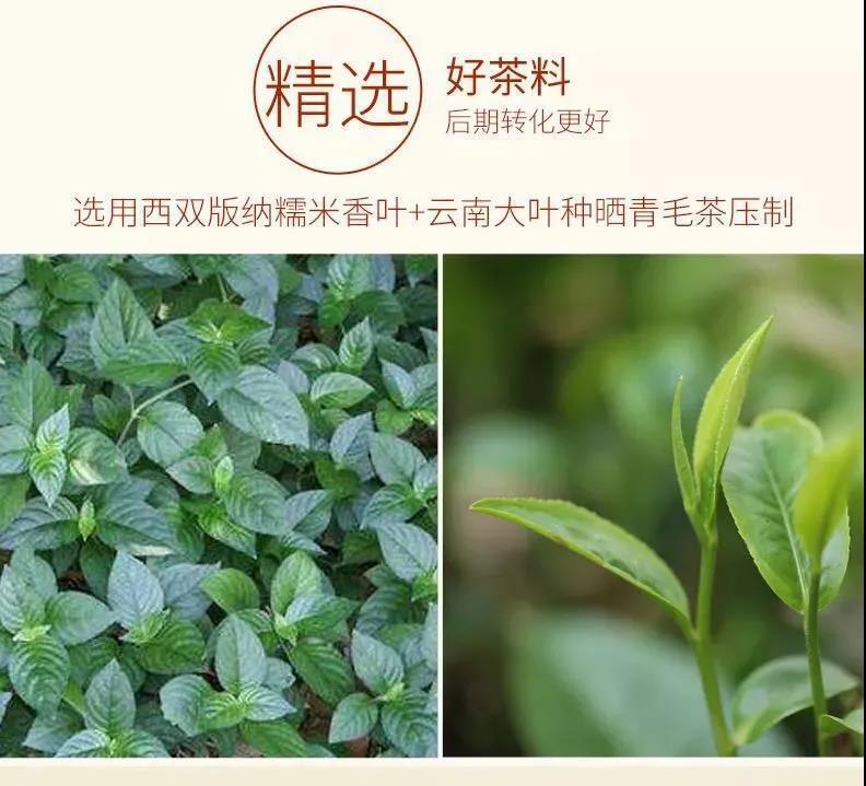 云南普洱茶 糯米香浓香型糯香普洱熟茶 迷你小沱茶500克茶叶