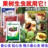 Busck Fruit tree Insecticide Peach Pear Plum tree Apricot Busck Borer aphid Pesticide Insecticide Busck Fruit tree Insecticide Peach Pear Plum tree Apricot Busck Borer aphid Pesticide Insecticide