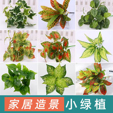 假绿植仿真绿植仿真波斯草绿植墙配材装饰仿真植物树叶绿植批发