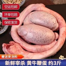 农家新鲜牛鞭现杀黄牛鞭鲜牛宝整套牛鞭牛宝冷冻鲜牛蛋牛睾丸包邮