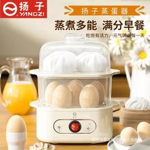 扬子ZDQ-200 煮蛋蒸蛋器自动断电煮鸡蛋机宿舍多功能家用早餐