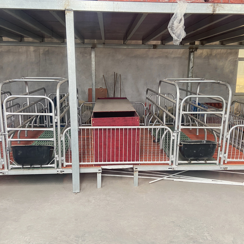 养猪场母猪产床母猪连体产床仔猪养殖母猪定位栏仔猪保育床直销