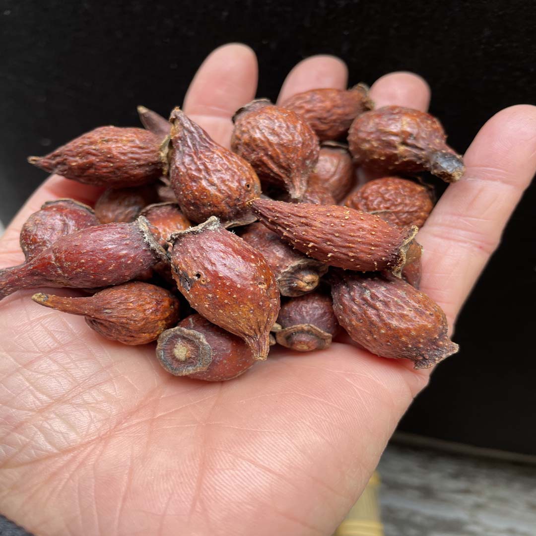 金樱子批发 金英子 金樱子干货中药材非野生新鲜干货泡酒-阿里巴巴