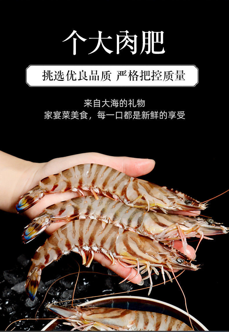 斑节虾 竹节虾 深海海捕,精挑细选,冻厂直供