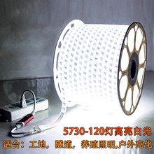 led灯带100米220V户外工程照明户外防水养殖塔吊工地地下室24V36V