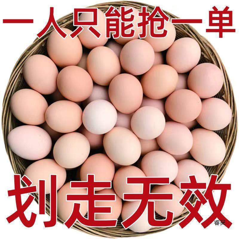 土鸡蛋散养农家新鲜土鸡蛋散养农村笨鸡蛋鸡柴鸡蛋整箱包邮