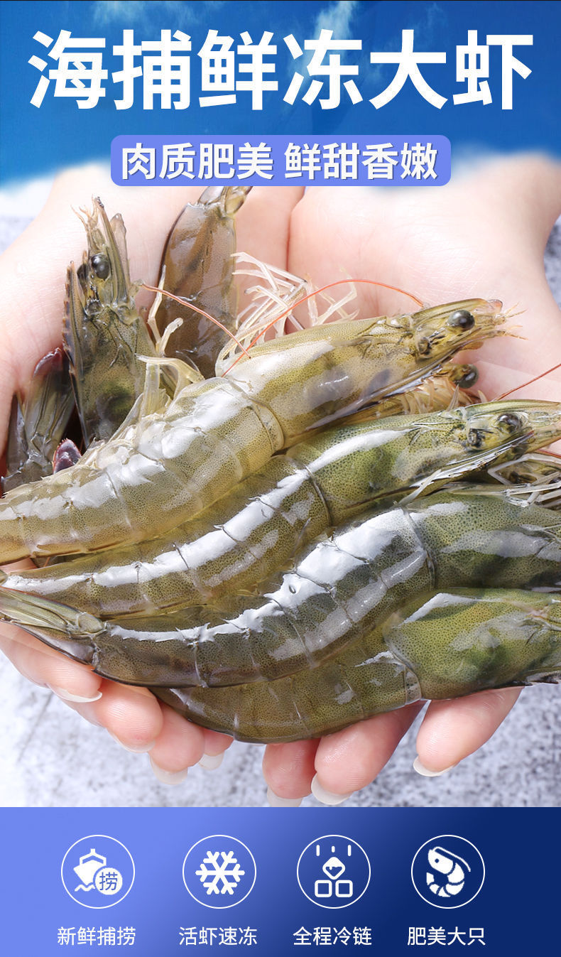 顺丰包邮海捕大虾基围虾冻虾鲜活大对虾鲜虾白虾野生青虾活虾海鲜