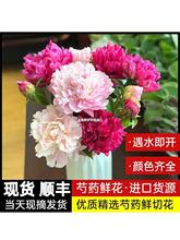 山东芍药牡丹重瓣花束云南鲜切花玫瑰百合花卉基地直发母亲节