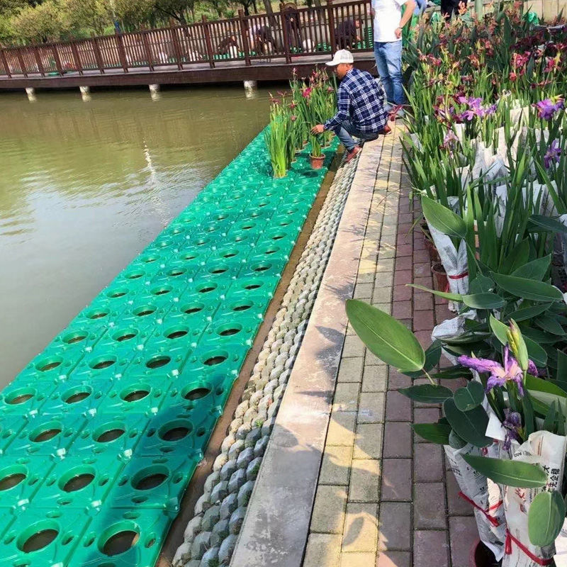 生态浮岛生物浮床水上植物种植水面绿化水上人工浮岛浮盘生态浮床
