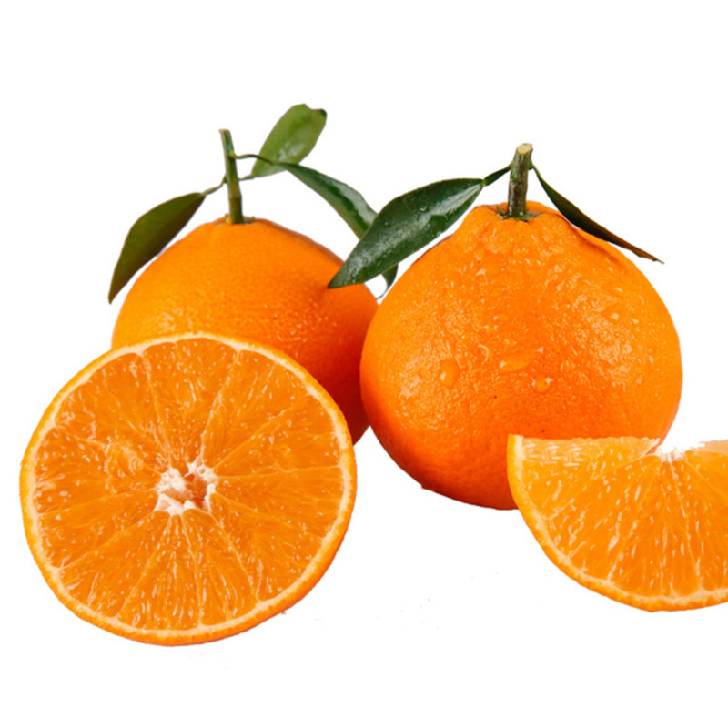 现摘蜜桔新鲜橘子江西蜜桔酸甜薄皮孕妇水果柑橘黄皮桔子产地批发