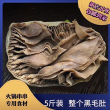 毛肚底板丝5斤包邮重庆新鲜牛肚火锅边角料肚丝自助餐麻辣烫食材