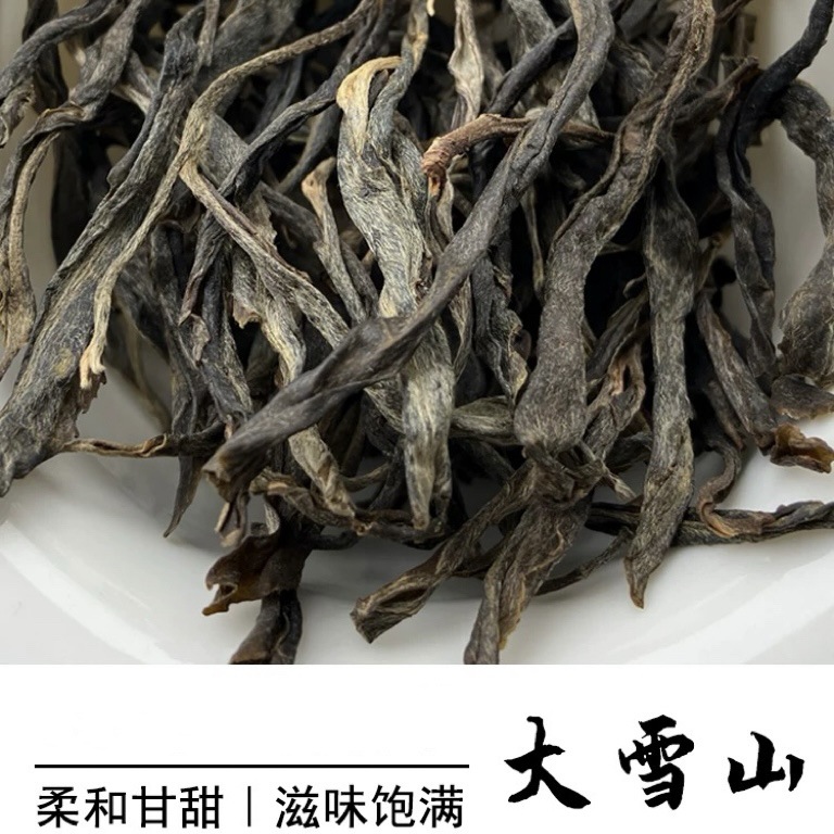 勐库大雪山500年古树普洱茶生茶散茶春茶云南临沧生普洱1斤-阿里巴巴