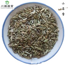 小茴香500g【川药药业】中药材现货批发供应【小茴香】新货