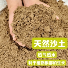 天然沙土沙壤土种菜种花土养花盆栽花卉种植土细沙土壤通用土