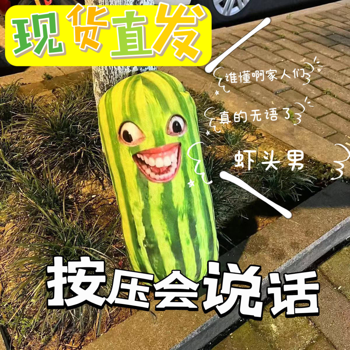 长条西瓜条子爆款抖音同款家人们谁懂啊无语死了挂件玩具搞笑抱枕