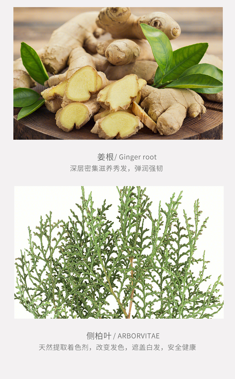 纯春堂云南本草一洗染黑染发膏自然黑非天然染发剂发廊理发店