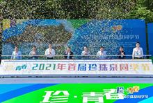 同款货源vrb33375淘宝2022爆款开业庆典活动仪式道具高科技3d全息