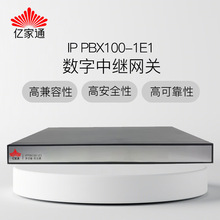 亿家通IPPBX100 IP电话交换机 兼容IPPBX语音设备软交换系统 标准