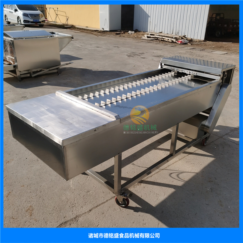 放置网带宽度可定制的冻刀鱼切段机 切鱼块设备 鱼罐头加工机器