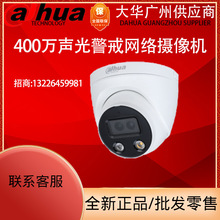 大华400万星光级H.265警戒红外网络摄像机 DH-IPC-HDW4443H-SA-PV