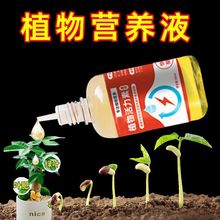 植物活力素养花专用通用型多肉绿植养花专用浓缩营养液肥土壮苗