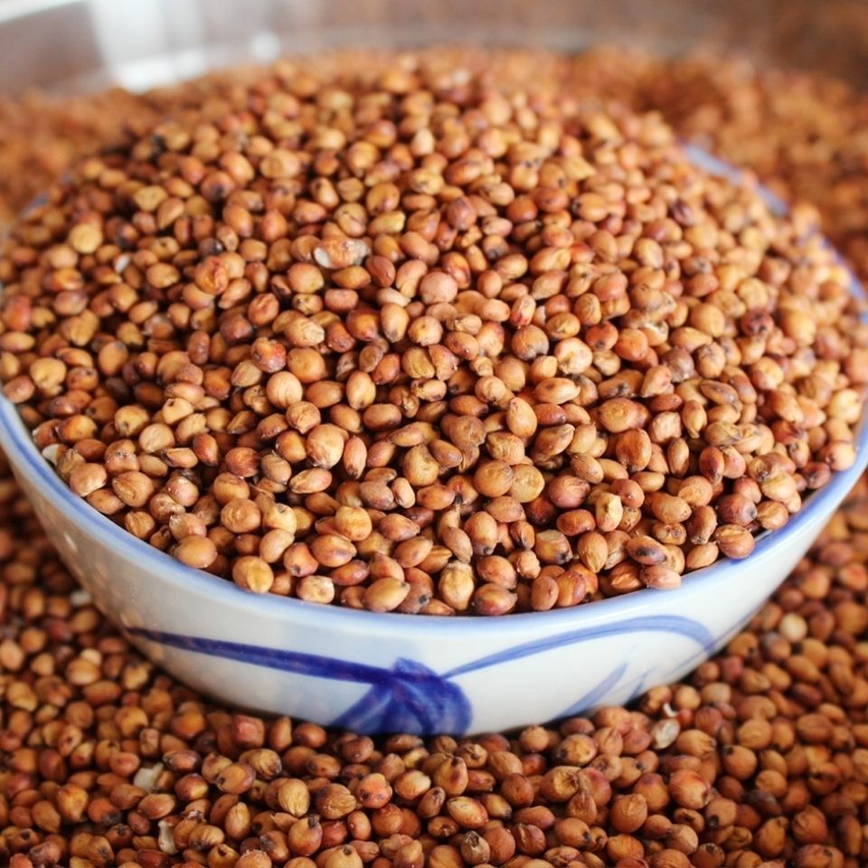 山西酿酒红高粱带皮红高粱酿醋喂鸽子未脱皮红高梁酿酒做酒包邮