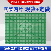 楼房外架防护网建筑施工提升脚手架爬架网外墙施工安全爬架网片