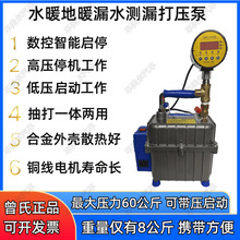 曾氏高压打压打气泵PPR自来水地暖管道查漏水增压泵自动启停