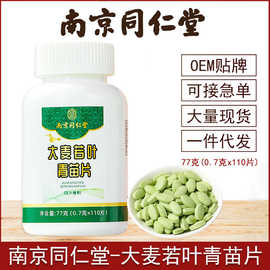 现货直供 大麦若叶青育片 代餐压片青汁糖果瓶装77g 量大从优