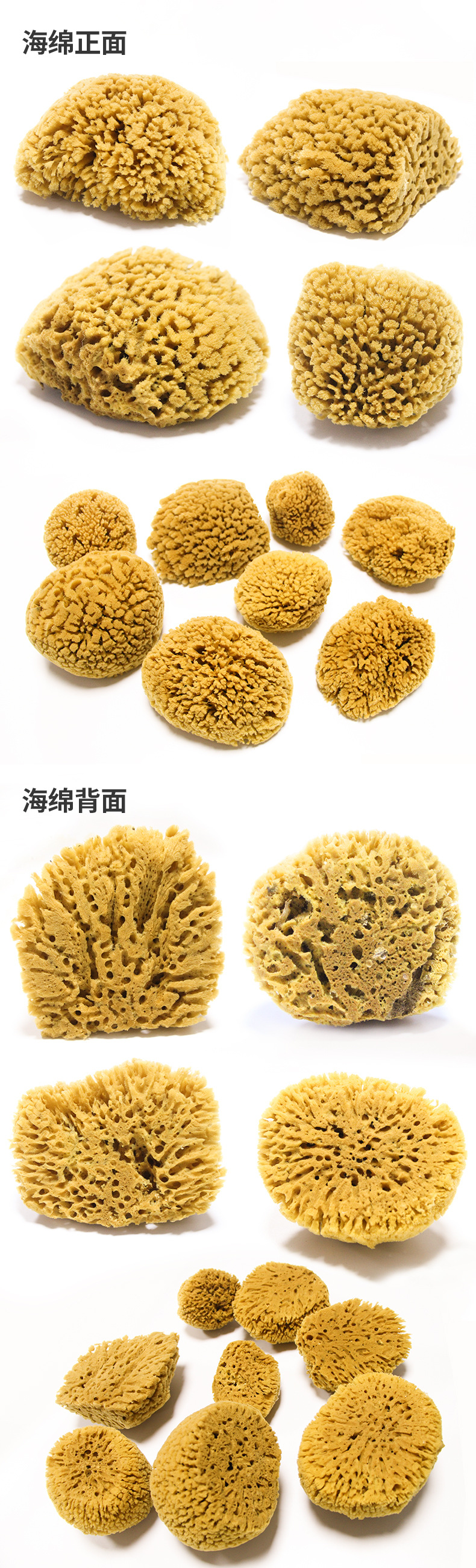 【优选】希腊天然海绵艺术海绵老海藻艺术涂料施工三色珠光漆装修
