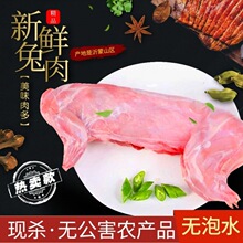 兔肉沂蒙新鲜活兔现杀整只白条新鲜整只家养肉兔可食用兔腿肉代发