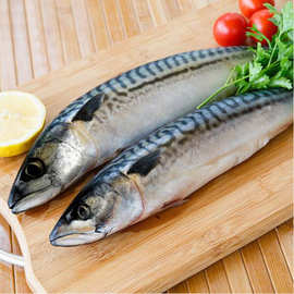 0成交0笔9年复购率:石狮万恒批发冷冻青鱼鲭鱼青占鱼冻片400-600g 可