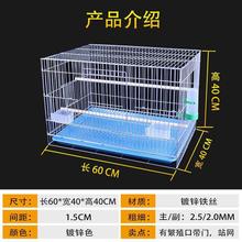 大型加大加粗加重镀锌繁殖笼牡丹鹦鹉鸟笼玄风八哥鸽子大号鸟笼子