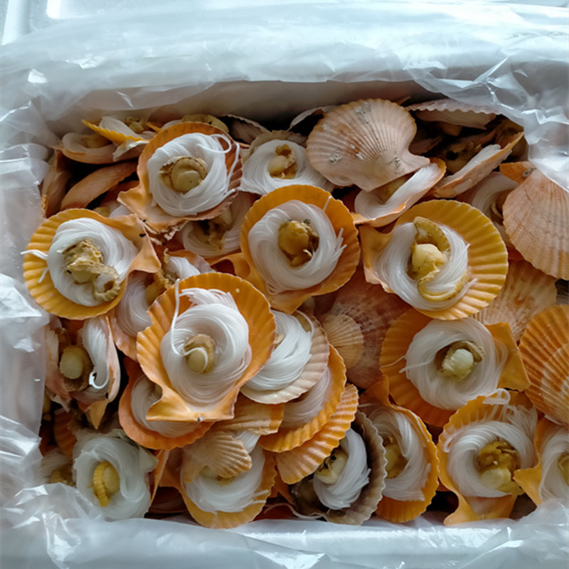 粉丝贝黄金粉丝贝壳直径6到7厘米1箱200只1箱重7kg适合海鲜自助餐