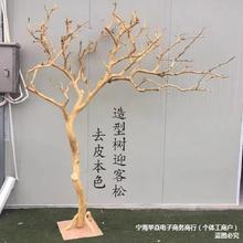 干树枝造景干枝树干许愿树枯树室内庭院造型树枝干原木树枝装饰树