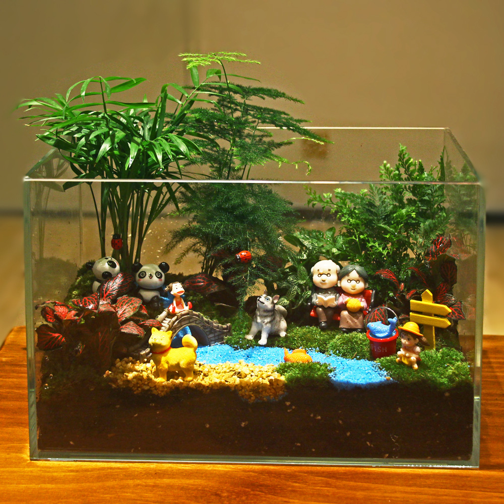 微景观玻璃缸大号生态瓶diy桌面创意盆栽生日礼物材料包盆景植物
