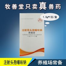 【注射用兽用头孢噻呋钠1g】国标兽药猪药粉针牛羊孕畜 兽药批发