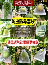 果树防虫网袋防鸟纱网袋保护葡萄袋无花果番石榴草莓套袋桃子套袋