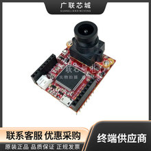 102991322 OV7725 STM32H743 - 图像传感器 评估板 - 传感器 全新