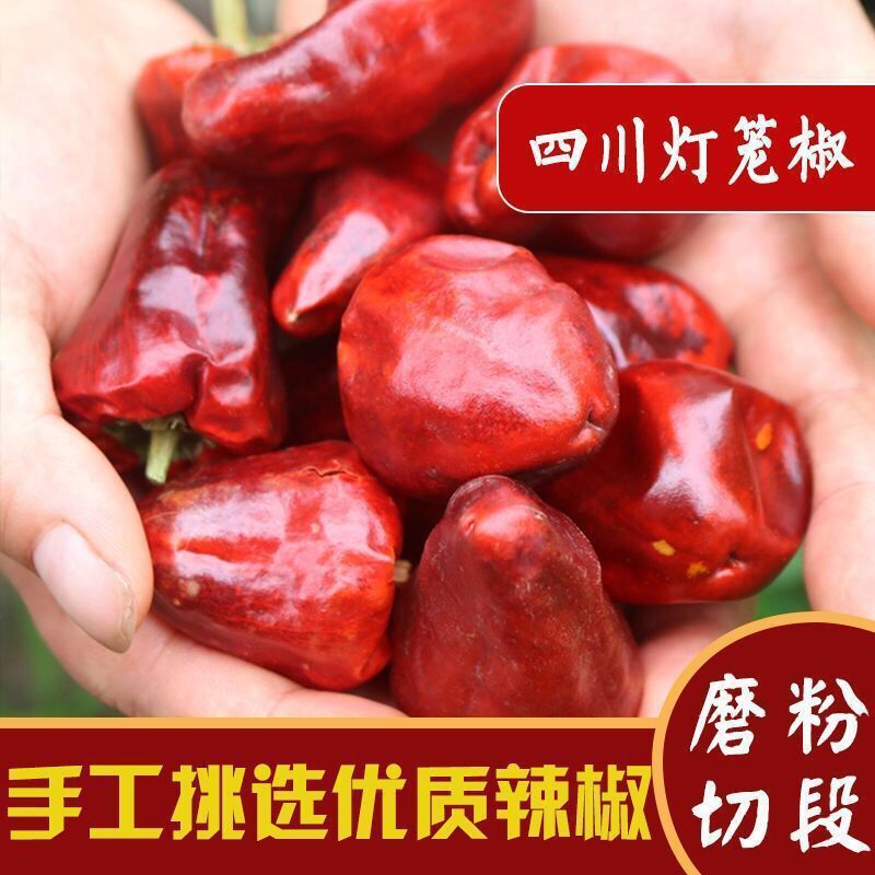灯笼辣椒圆辣椒灯笼椒包邮四川柿子椒红草莓椒干海椒中辣一件代发
