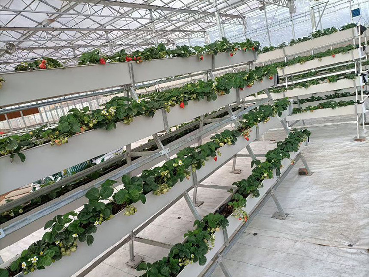 厂家直供 基质培种植槽 草莓种植槽-阿里巴巴